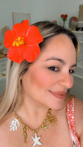 Amapola